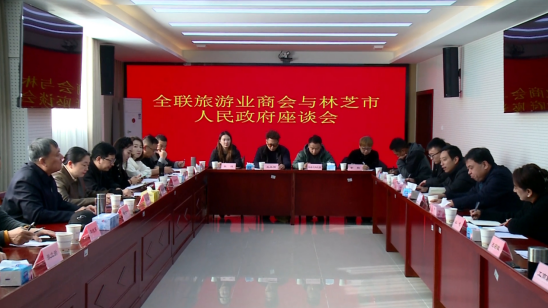 全国工商联旅游业商会与林芝市人民政府举行低空经济与文旅产业投资洽谈座谈会